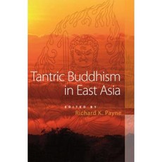 Tantric Buddhism in East Asia Paperback, Wisdom Publications (MA)