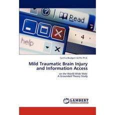 Mild Traumatic Brain Injury and Information Access Paperback, LAP Lambert Academic Publishing