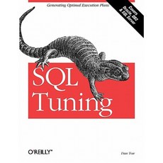 SQL Tuning 平裝版, O'Reilly Media