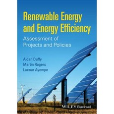 Renewable Energy and Energy Efficiency: Assessment of Projects and Policies Paperback, Wiley-Blackwell