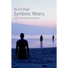 Symbolic Misery Volume 2: The Catastrophe of the Sensible Paperback, Polity Press