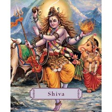 Shiva: Lord of the Dance Hardcover, Mandala Publishing (CA)