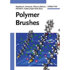 Polymer Brushes: Synthesis Characterization and Applications Hardcover, Wiley-Vch