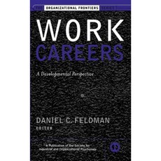Work Careers: A Developmental Perspective Hardcover, Pfeiffer