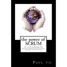 The Power of Scrum in the Real World for the Agile Scrum Master Product Owner Paperback, Pashun Publishing Press