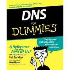 DNS for Dummies 平裝版