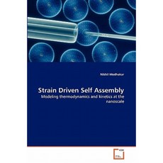 Strain Driven Self Assembly Paperback, VDM Verlag