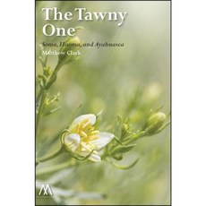 The Tawny One: Soma Haoma and Ayahuasca Paperback, Muswell Hill Press
