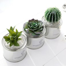 Happy Village 水壺仙人掌人造盆栽 3件組, 混合顏色, 1套