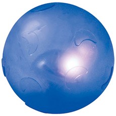 펫스테이지 트윙클 야광 볼 고양이 장난감, 1개