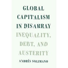 Global Capitalism in Disarray: Inequality Debt and Austerity Hardcover, Oxford University Press, USA