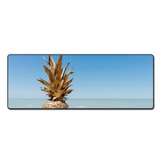 반하지오 포토 데스크매트, D0059