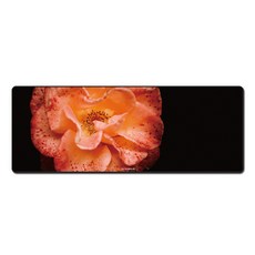 반하지오 포토 데스크매트, D0027