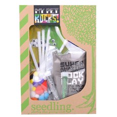 Seedling MY PET ROCKS 감각발달완구 DIY 키트, 혼합 색상, 1개