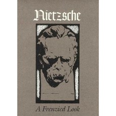 Nietzsche: A Frenzied Look Paperback, University of Massachusetts Press