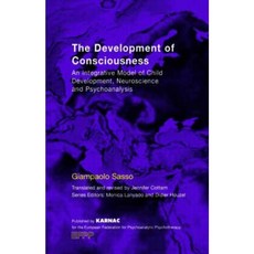 The Development of Consciousness: An Integrative Model of Child Development Neuroscience and Psychoanalysis Paperback, Karnac Books
