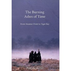 The Burning Ashes of Time: From Steamer Point to Tiger Bay Paperback, Seren Books