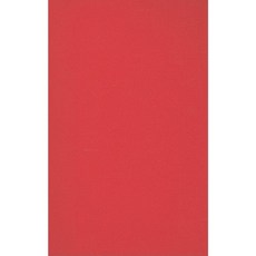 AsiaPacifiQueer: Rethinking Genders and Sexualities Hardcover, University of Illinois Press