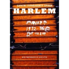 Harlem Hardcover, Seagull Books