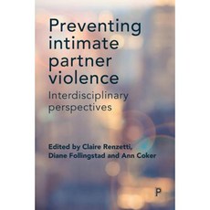 Preventing Intimate Partner Violence: Interdisciplinary Perspectives Paperback, Policy Press