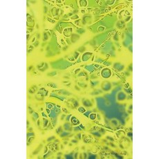 Journal Your Life's Journey: Fantasy Green Lined Journal 6 X 9 100 Pages Paperback, Createspace Independent Publishing Platform