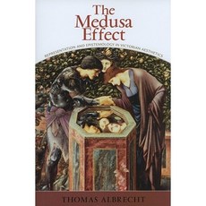 The Medusa Effect: Representation and Epistemology in Victorian Aesthetics Hardcover, State University of New York Press