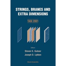 弦膜與額外維度（Tasi 2001）精裝, 世界科學出版公司