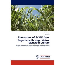 Elimination of Scmv from Sugarcane Through Apical Meristem Culture Paperback, LAP Lambert Academic Publishing