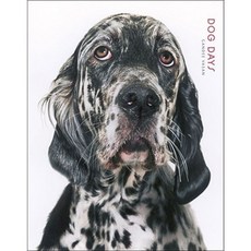 Dog Days Hardcover, Andrews McMeel Publishing