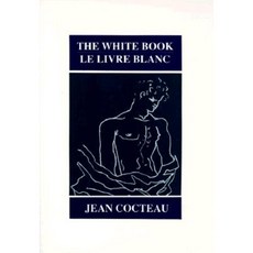 The White Book (Le Livre Blanc) Paperback, City Lights Books