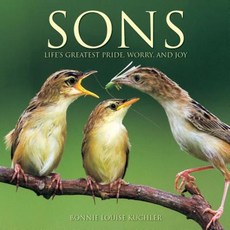 Sons: Life's Greatest Pride Worry and Joy Hardcover, Willow Creek Press