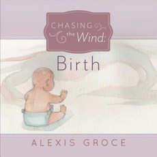 Chasing the Wind: Birth Paperback, Bookbaby
