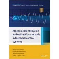 Algebraic Identification and Estimation Methods in Feedback Control Systems 精裝版, Wiley