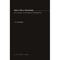 Build Me a Mountain: Youth Poverty and the Creation of New Settings Paperback, Mit Press