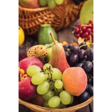 Autumn Harvest Bounty 4 Grid Notebook: 150 Page Grid Notebook Journal Diary Paperback, Createspace Independent Publishing Platform