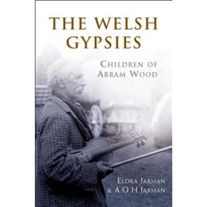 The Welsh Gypsies: Children of Abram Wood Paperback, University of Wales Press