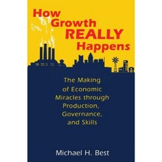 How Growth Really Happens: The Making of Economic Miracles Through Production Governance and Skills Hardcover, Princeton University Press