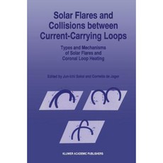 太陽耀斑和載流環之間的碰撞：太陽耀斑和日冕環加熱的類型和機制平裝本, 施普林格