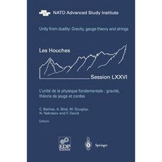 對偶性的統一：重力計理論和弦：Les Houches Session LXXVI 2001 年 7 月 30 日至 8 月 31 日 平裝本, 施普林格
