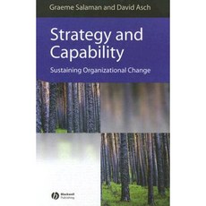 Strategy and Capability: Sustaining Organizational Change Hardcover, Wiley-Blackwell