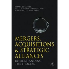 Mergers Acquisitions and Strategic Alliances: Understanding the Process Paperback, Palgrave