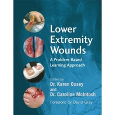 Lower Extremity Wounds: A Problem-Based Learning Approach 平裝版, Wiley