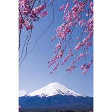 Fuji Blossoms Journal: 365 Day Journal Diary Notebook Paperback, Createspace Independent Publishing Platform