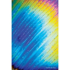 Journal Your Life's Journey: Micro Crystals 13 Lined Journal 6 X 9 100 Pages Paperback, Createspace Independent Publishing Platform