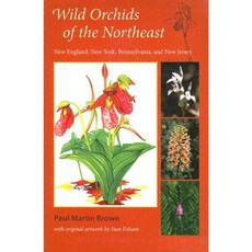 Wild Orchids of the Northeast: New England New York Pennsylvania and New Jersey Paperback, University Press of Florida