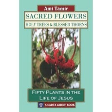 Sacred Flowers Holy Trees & Blessed Thorns: Fifty Plants in the Life of Jesus Paperback, Carta Jerusalem