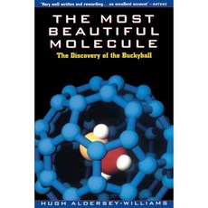 The Most Beautiful Molecule: The Discovery of the Buckyball Paperback, Wiley