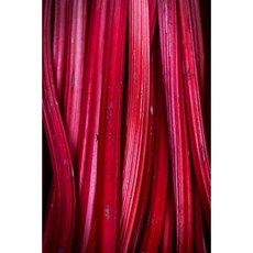 Rhubarb Stalks Food Journal: 150 Page Lined Notebook/Diary Paperback, Createspace Independent Publishing Platform