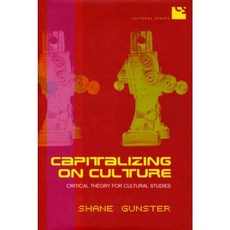 Capitalizing on Culture: Critical Theory for Cultural Studies Hardcover, University of Toronto Press
