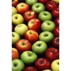 A Variety of Fresh Apples Journal: 150 Page Lined Notebook/Diary Paperback, Createspace Independent Publishing Platform